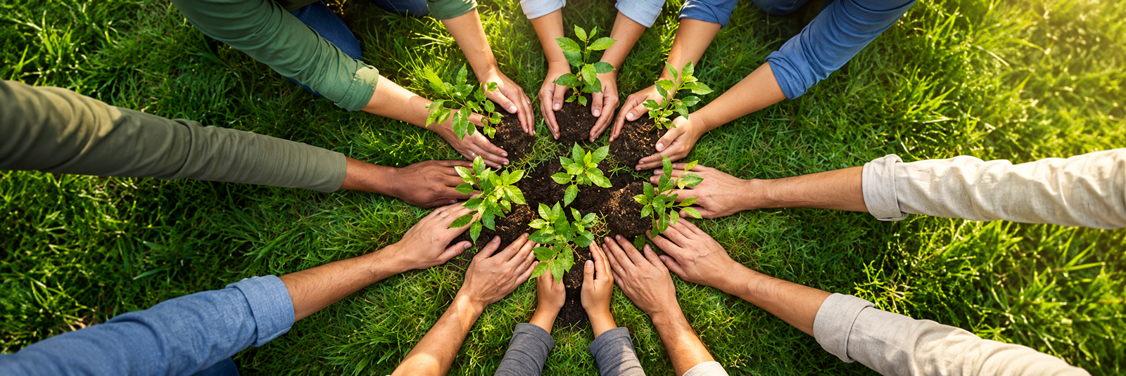 Community members participating in environmental activities and planting saplings